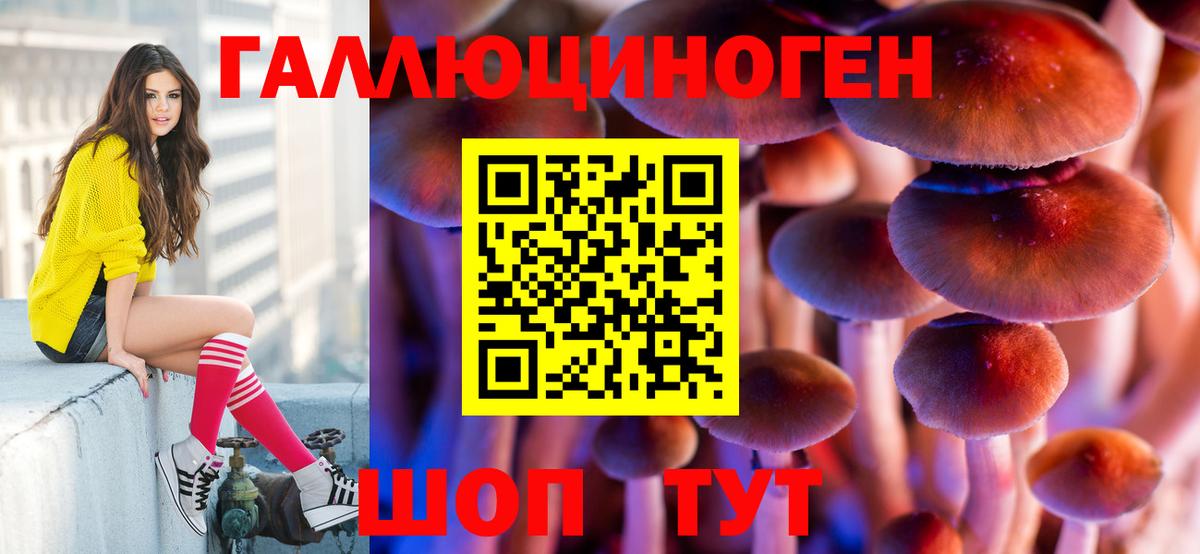 Тверь  Галлюциногенные грибы прущие грибы  Вход с VPN 